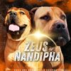 nandiandzeus5