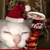 cat.lover.69.3
