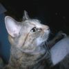 i_love_my_pets84
