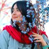 mocuze_qad1n