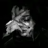 user6100312625761