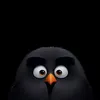 insightsfun