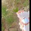 dodo456788