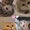 mariam.mohammed9602