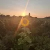 lexie_4524