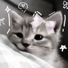 sude.kksl1