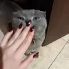 r0_mll