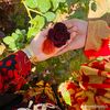 um_elif6363