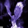 fatma9_2