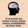 guadalupe.bonilla46