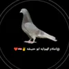 مصطفى عميد الهوايه ⚜️👑