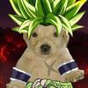 tu.papi.broly.el