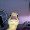 lara.gabriela123