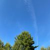 satellitetreachery1