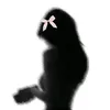 nxzrq_n