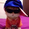 mr_moew0