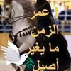 user5276168794374