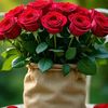 james.donald735