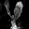 gojosfluids
