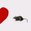 tania_t_b_13