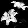 crud_2