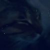 hopecat5