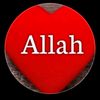yarali_rek44