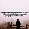user798560626981