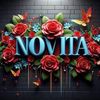 novita.s637