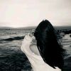 roro_501.2