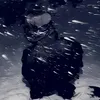 hzrax7