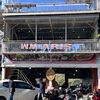 wmmasariscemorokandang