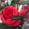 .7.nm.ri