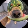 susmogus