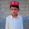 lashari0051
