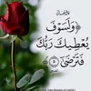 user8598396221043