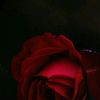 user8053920109357