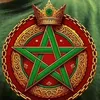 user290025541