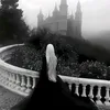 dybaui