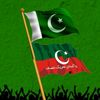 pti.tigers493