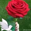 afnaan.maxamed5