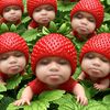 rarapretttyy
