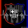 celsio_2007