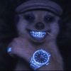son_of_apetor