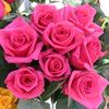 sweetshehzadi70