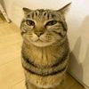 user8607381923295