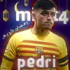 ✨Pedri✨