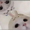 lailavinhday08