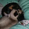 matildesobral8