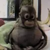 teddylerizzlier